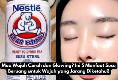 Mau Wajah Cerah dan Glowing? Ini 5 Manfaat Susu Beruang untuk Wajah yang Jarang Diketahui!