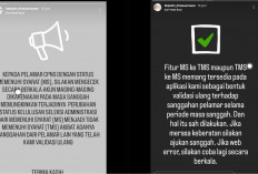 Simak, Lolos Seleksi Administrasi CPNS 2024? Jangan Cepat Puas, Ini Penyebab Status Bisa Berubah TMS