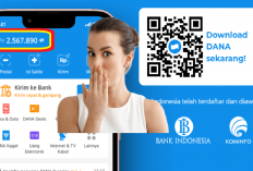 Terbaru 2025 Cara Dapat Uang dari Aplikasi Penghasil Saldo DANA Gratis eWwallet Terbukti Membayar, Ini Triknya