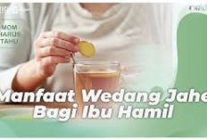 4 Manfaat Wedang Jahe Bagi Ibu Hamil, Salah Satunya Bisa Mengurangi Mual dan Muntah Lho, Berikut Cara Buatnya