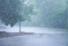 Hujan Lebat Menyelimuti Babel, Kalimantan, Sulawesi,Sumsel! Berikut Perakiraan Cuaca BMKG Hari ini (19/10)