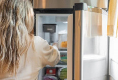 5 Rekomendasi Kulkas Sharp Inverter 2026, Bikin Makanan Tetap Segar Tanpa Boros Listrik! 