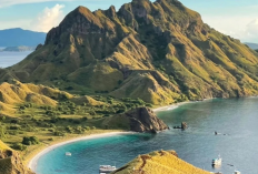 Labuan Bajo Pulau Eksotis, Komodo, & Keindahan Bawah Laut yang Bikin Liburanmu Lebih dari Sekadar Wow!