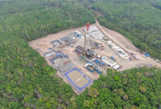Pertamina EP Fokus Bersihkan Tumpahan Minyak Limau Field, Ini Lokasinya