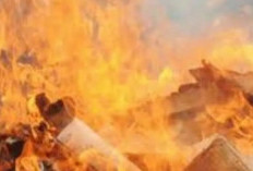 Tragedi Kebakaran Wang Fuk Court Hong Kong Tewaskan 4 Orang dan Puluhan Terjebak