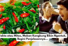 Fakta atau Mitos, Makan Kangkung Bikin Ngantuk, Begini Penjelasannya...