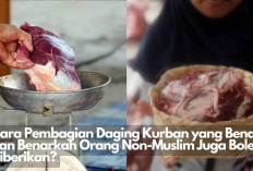 Wow! Boleh Nih Non-Muslim Dapat Daging Kurban? Yuk Simak Cara Pembagiannya yang Benar.. 