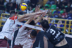 Proliga 2026: Jakarta LavAni Livin' Transmedia Juara Putaran Pertama, Bandung bjb Gagal Sapu Bersih