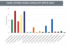 Ini 9 Calon Legislator Dapil 2 Sumsel Terkuat Lolos Senayan, PDIP Zonk