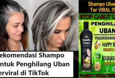Jangan Asal Beli Guys Cari Tau Yuk Shampoo Penghilang Ubah Terbaik yang Dijual di Apotik Tanpa Perlu Cat Warna