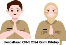 Resmi Pendaftaran CPNS 2024 Ditutup, Yuk Ketahui Tahapan Selanjutnya, Jangan Keliru!