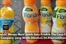 Waduh! Minute Maid Salah Satu Produk The Coca Cola Company yang Wajib Diboikot, Ini Alternatifnya