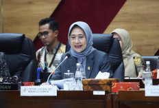Dari Komisi X, Ini Usulan Hukuman Bagi Pelaku Pelecehan Seksual terhadap Atlet Jika Terbukti