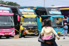 Siapkan Kocek, Daftar Lengkap Terbaru Harga Tiket Bus AKAP Jakarta – Malang buat Mudik Lebaran!