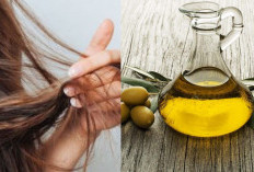 Cara Mengatasi Rambut Bercabang dengan Bahan Dapur, Cukup Gunakan Minyak Zaitun!