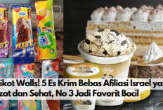 Boikot Walls! 5 Es Krim Bebas Afiliasi Israel yang Lezat dan Sehat, No 3 Dijamin Jadi Favorit Para Bocil