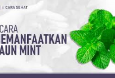 4 Cara Mengolah Daun Mint untuk Kesehatan, No.1 Simple Banget Namun Banyak Khasiatnya Lho, Yuk Cobain...