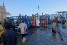 Innalilahi! Jembatan Ambruk di Pulau Hatta Sebabkan 7 Anggota Rombongan Cabup Maluku Tengah Meninggal Dunia