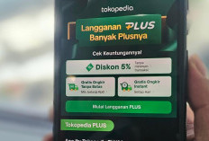 Begini Cara Penjual di Tokopedia & TikTok Shop Kaya Mendadak