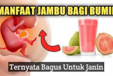 6 Manfaat Jambu Biji Bagi Ibu Hamil dan Janin yang Jarang Diketahui, Salah Satunya Kaya Akan Asam Folat Lho...