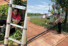 Pasang Tiang Wifi, Besi Sentuh Kabel Listrik PLN, 2 Pekerja Tewas, 1 Luka Bakar