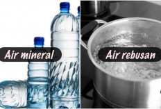 5 Perbedaan Air Minum Masak dan Air Isi Ulang, Mana yang Lebih Sehat? Yuk Cari Tau!