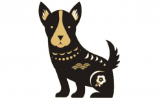 Shio 2026 Siap-Siap Banjir Rezeki! Inilah Shio yang Diprediksi Bangkit di Tahun Kuda Api