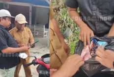 Viral Video Rekaman Oknum ASN Kesbangpol Buton Tengah Terjaring OTT Dugaan Korupsi Dana Konsumsi Paskibra