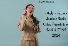 Wajib Tahu! Inilah 5 Jaminan Sosial yang Menarik untuk Peserta CPNS 2024, Salah Satunya Kesehatan