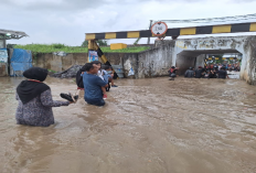 Update Korban Bencana Banjir Di Desa Pompengan Tengah, Telah Mendapat Bantuan Dari Dinsos Luwu