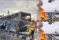 Terungkap Penyebab Kebakaran Bus PO Haryanto di Rute Yogyakarta-Pati, Diduga Karena Ini...