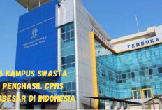 Diklaim Penghasil CPNS Terbanyak! Top 5 Kampus Swasta Indonesia, Pilihan Cerdas untuk Calon PNS