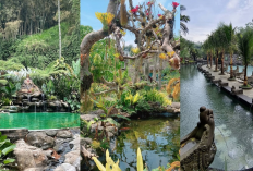 Malang Magical: Jelajahi Taman Kemesraan, Dusun Kuliner & Lembah Tumpang yang Bikin Jatuh Cinta!