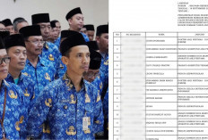 7.650 Pelamar Lolos Seleksi Administrasi CPNS Pemkab Bogor 2024, Berikut Link Resmi dan Nama Peserta 