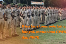 PPPK dan CPNS Wajib Tahu! 6 Instansi Pemerintah Yang Paling Banyak Menerima Pegawai, Tertarik Mencoba?