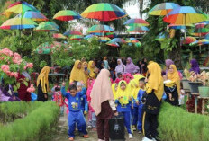 Lagi Stres!  Coba Healing Taman Asih Sidomulyo, Jarak 60 Menit Dari Palembang, Beragam Wahana..