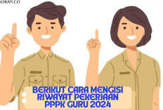 PPPK Guru Catat! Cara Mengisi Riwayat Pekerjaan yang Baik dan Benar Yuk Simak Selengkapnya