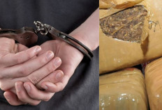 Polisi Tangkap Pengedar Narkoba di Jaksel, Ganja Seberat 10,5 Kg Diamankan