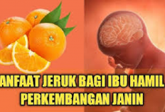 Bunda Wajib Tau! 4 Manfaat Jeruk Bagi Ibu Hamil dan Janin yang Jarang Diketahui, Apa AJa Ya? Cekidot...