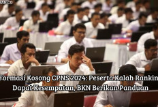 Formasi Kosong CPNS 2024: Peserta Kalah Ranking Dapat Kesempatan, BKN Berikan Panduan