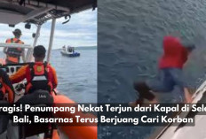 Tragis! Penumpang Nekat Terjun dari Kapal di Selat Bali, Basarnas Terus Berjuang Cari Korban