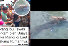 Ibu Rumah Tangga di Nias Selatan Tewas Diterkam Buaya Saat Mandi di Laut