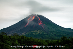 Info Terkini, Gunung Merapi Kembali Muntahkan Lava Pijar Sejauh 1000 Meter, Masyarakat di Minta Waspada!