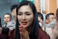 Tas Mewah dan Mobil Hadiah Ultah Disita, Sandra Dewi Minta Pengadilan Kembalikan Aset! 