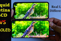 Layar Amoled Samsung Galaxy Tab vs Retina Display iPad, Mana Lebih Unggul? Cek Detailnya Disini..
