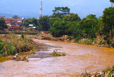 Waspadai 4 Penyebab Banjir Bandang yang Sering Terjadi di Indonesia, Fenomena Alam dan Kehancuran!