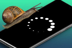Cara Merawat HP Android Agar Tidak Lemot, Lebih dari Sekadar Bersih-Bersih Memori, Dijamin Lebih Ngebut!