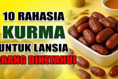 Rahasia Mengejutkan Kurma untuk Kesehatan Lansia Bukan Cuma Camilan, Tapi Penguat Tubuh Alami!
