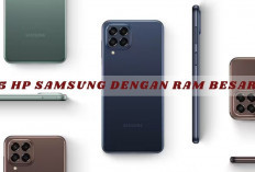5 HP Samsung dengan RAM Besar untuk Kinerja Optimal, yang Suka Foto Wajib Tau Nih!