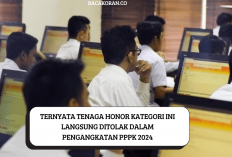 Mohon Maaf! Tenaga Honorer PPPK dengan Kategori Ini Langsung Dicoret dari Pengangkatan PPPK 2024 